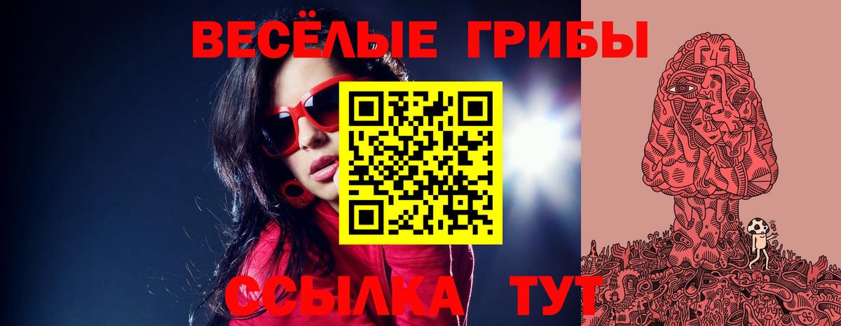Галлюциногенные грибы GOLDEN TEACHER Верхняя Пышма